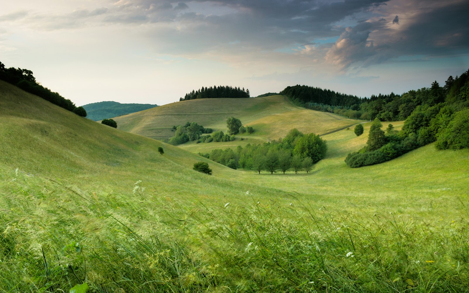 Blick auf Pfullendorf im Linzgau nahe Bodensee